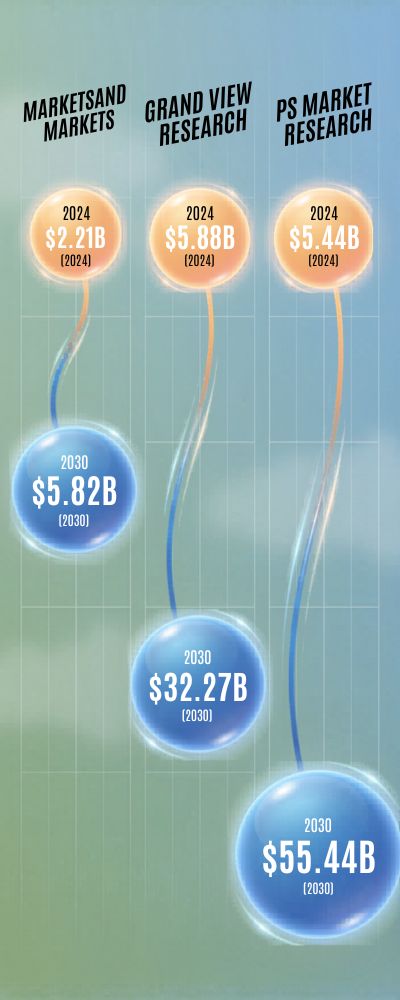 Infographic-with-Market-Research-Bubbles