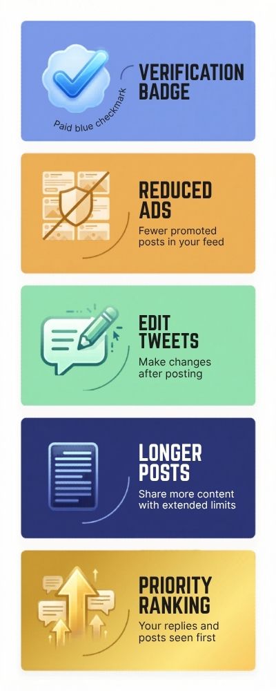 Sleek Infographic Showcasing Diverse Features
