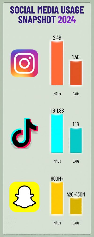 Social Media Usage Snapshot 2024 Infographic
